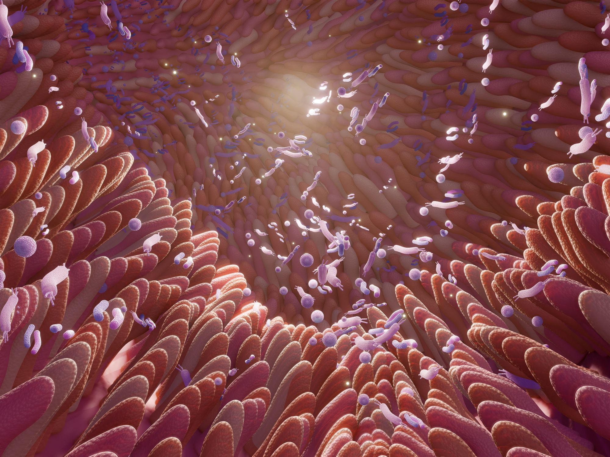 AI ถอดรหัสภาษาลับของแบคทีเรียในลำไส้ของคุณ