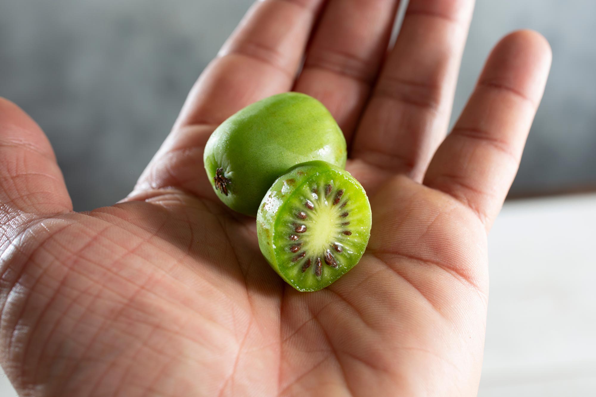 ผลไม้ญี่ปุ่นที่ไม่ค่อยมีใครรู้จักนี้สามารถช่วยหยุดมะเร็งปอดได้ก่อนที่จะเริ่ม